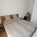 Pension Nad Zlichovem